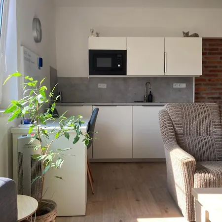 Moderni Apartman V Ostrave * Οστράβα
