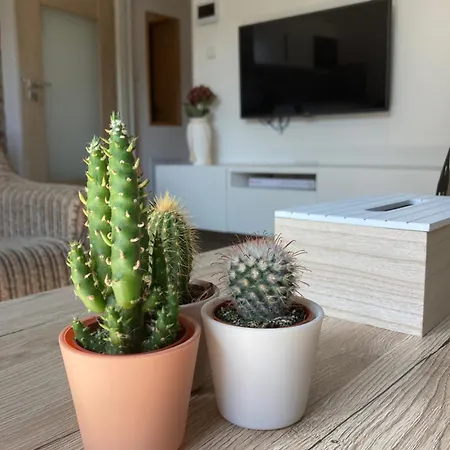 Moderni Apartman V Ostrave Διαμέρισμα *